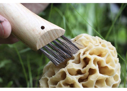 OPINEL COLTELLO PER FUNGHI CON MANICO IN FAGGIO LAMA INOX DA CM 8