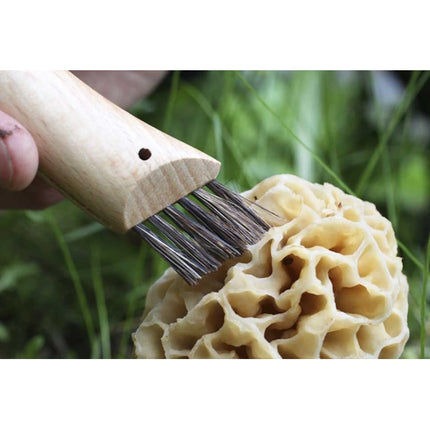 OPINEL COLTELLO PER FUNGHI CON MANICO IN FAGGIO LAMA INOX DA CM 8