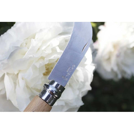 OPINEL COLTELLO FALCETTO DA INNESTO MANICO IN FAGGIO LAMA INOX DA CM 8