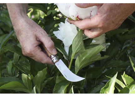 OPINEL COLTELLO FALCETTO DA INNESTO MANICO IN FAGGIO LAMA INOX DA CM 8