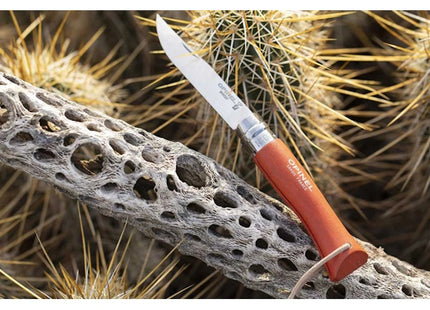 OPINEL COLTELLO AVVENTURIERO CON LACCIO LAMA INOX CM8 CON MANICO