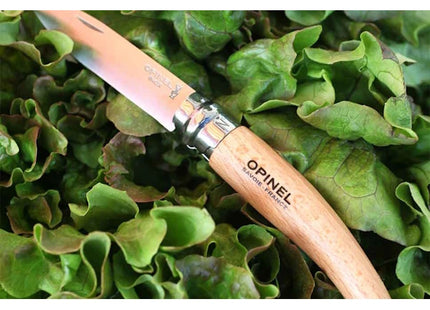 OPINEL COLTELLO DA GIARDINO CON MANICO IN FAGGIO LAMA INOX DA CM 8,5