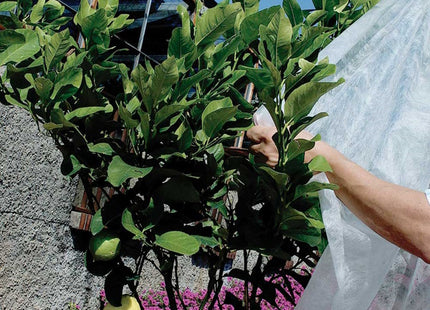 TENAX VELO PROTETTIVO LEGGERO ART. ORTOCLIMA