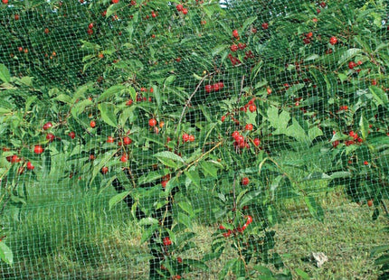 TENAX RETE ORTOFLEX PROTEZIONE COLTURE ANTIUCCELLI VERDE CONF.MT2X10