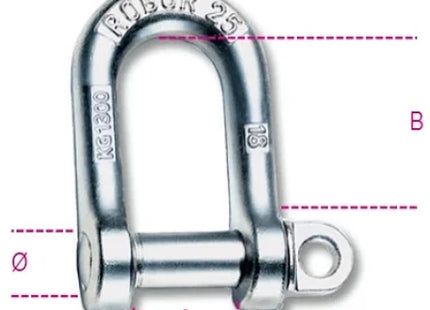 ROBUR GRILLI PER SOLLEVAMENTO DIRITTI ACCIAIO ART.8025