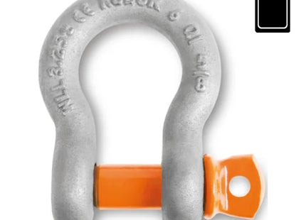 ROBUR BLISTER GRILLI PER SOLLEVAMENTO A LIRA A.R. ART.8029R-K