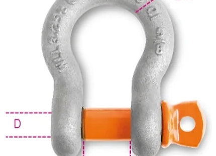 ROBUR BLISTER GRILLI PER SOLLEVAMENTO A LIRA A.R. ART.8029R-K