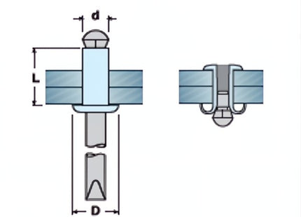 SACTO RIVETTI GRAF IN LEGA DI ALLUMINIO A TESTA LARGA