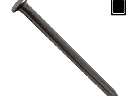 SODIFER CHIODI IN FERRO LUCIDO TESTA PIANA IN CONF.BLISTER