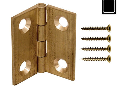 SODIFER CERNIERE A LIBRO ALI PIANE IN OTTONE CON VITI IN BLISTER DA PZ2