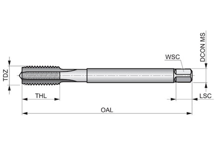 DORMER MASCHIO MACCHINA E250 HSS-E PM PER FORI PASSANTI/CIECHI