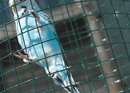 TENAX RETE PLAMET 10 IN FERRO ZINCATO PLASTIFICATO COLORE VERDE