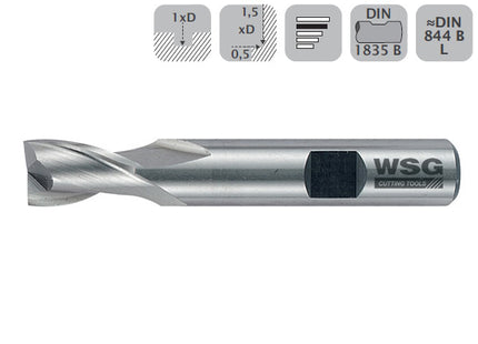 WSG FRESA CILINDRICA PER CAVE LUNGA 2 TAGLIENTI IN HSS CO8*