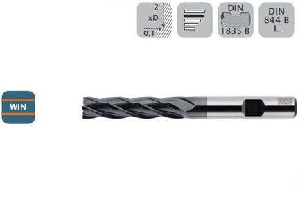 WSG FRESA CILINDRICA PER FINITURA LUNGA 4 TAGLIENTI IN HSS CO8 WIN