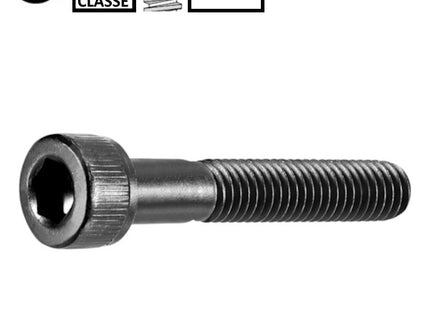 VITE TCEI CLASSE 12.9 GREZZA UNI 5931