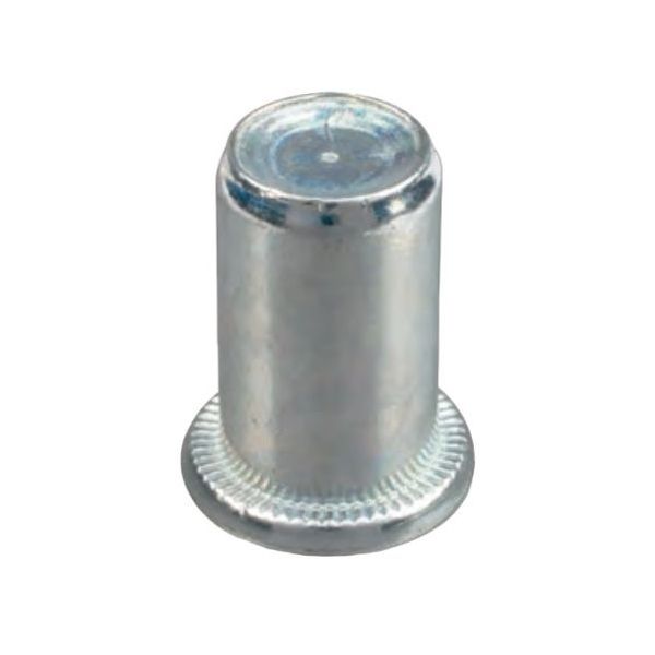 FAR INSERTO FILETTATO CIECO IN ACCIAIO A TESTA CILINDRICA FTTC