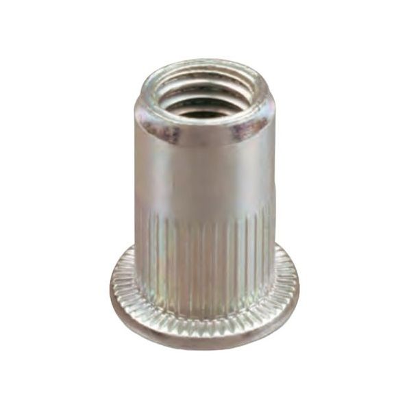 FAR INSERTO FILETTATO IN ACCIAIO INOX TESTA CILINDRICA FTT.INOX A2