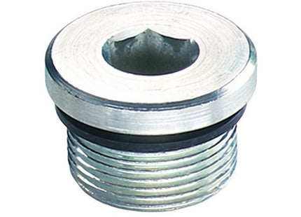 TAPPI PER OLEODINAMICA CILINDRICI CON GUARNIZIONE DIN 908 ZINCATI