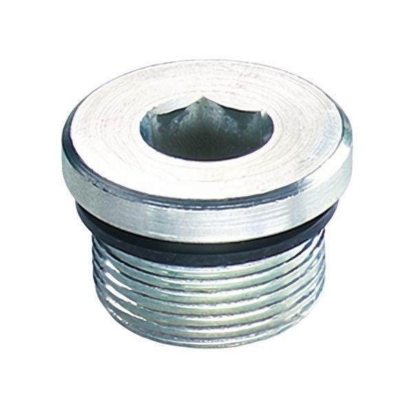 TAPPI PER OLEODINAMICA CILINDRICI CON GUARNIZIONE DIN 908 ZINCATI