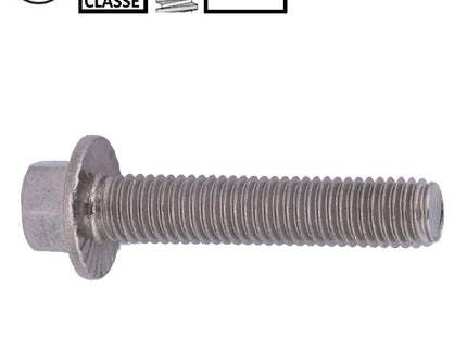 VITE TE CON FLANGIA ZIGRINATA CLASSE 8.8 ZINCATA BIANCA DIN 6921