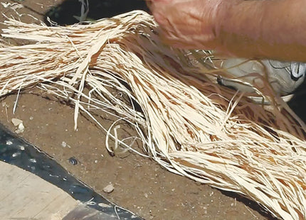 TENAX RAFIA NATURALE IN CONF.DA GR80