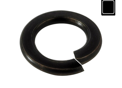 SODIFER RONDELLE GROWER IN FERRO TEMPERATO IN CONF.BLISTER