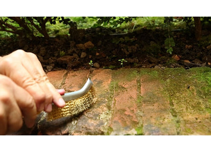 SIT SPAZZOLA SPID ROSSA IN ACCIAIO OTTONATO CON MANICO MM245 ART.0010