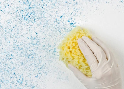 GAMMA PENNELLI SPUGNA SINTETICA A FORMA OVALE ART.631