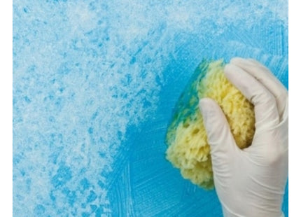 GAMMA PENNELLI SPUGNA SINTETICA A FORMA TONDA ART.629