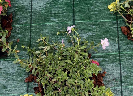 TENAX TELO ANTIERBACCE COVER PRO COLORE VERDE