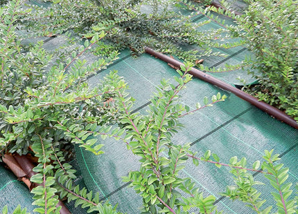 TENAX TELO ANTIERBACCE COVER PRO COLORE VERDE