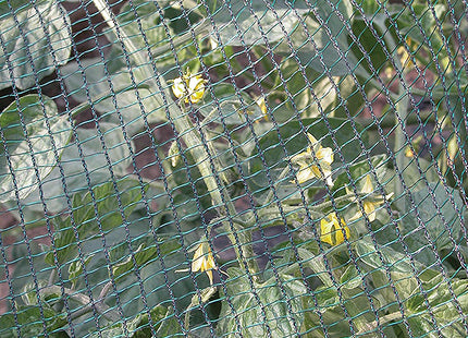 TENAX RETE DEFENDER TESSITURA ANTIGRANDINE COLORE VERDE