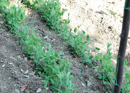 TENAX RETE FLORA PER RAMPICANTI E TUTORI COLORE VERDE