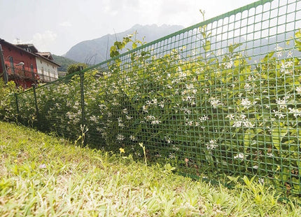 TENAX RETE QUADRA 20 IN PLASTICA MULTIUSO VERDE CONF.DA MT0,5X5