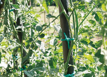 TENAX TUBETTO AGRICOLO IN PVC LEGACCIO PER PIANTE D.MM3 GR250