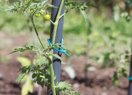 TENAX TUBETTO AGRICOLO IN PVC LEGACCIO PER PIANTE D.MM3 GR250