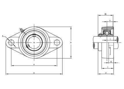 SUPPORTO IN GHISA CON CUSCINETTO UCFL