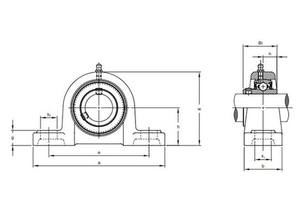 SUPPORTO IN GHISA CON CUSCINETTO UCP