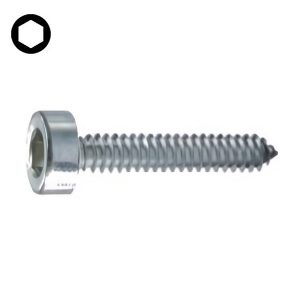 VITE AUTOFILETTANTE TCEI ZINCATA BIANCA UNI 6947