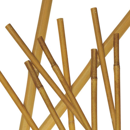 VERDELOOK CANNA DI BAMBOO