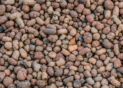 VIGOR PLANT AGRIARGILLA ESPANSA LT10