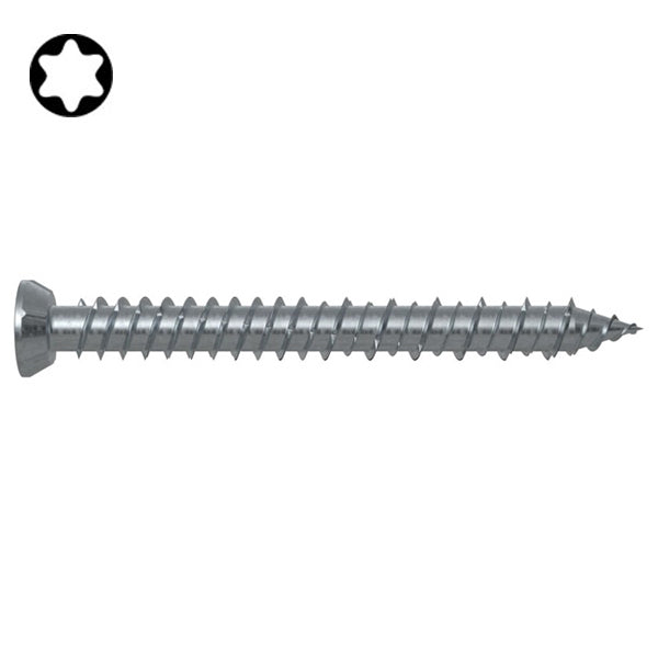 FISCHER VITE PER MURO FFS TESTA PIANA TX30