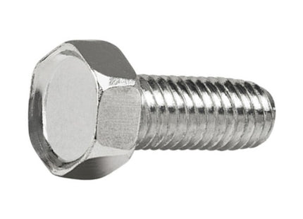 VITE TRILOBATA AUTOFORMANTE TE ZINCATA BIANCA M 6X 10 UNI 8110