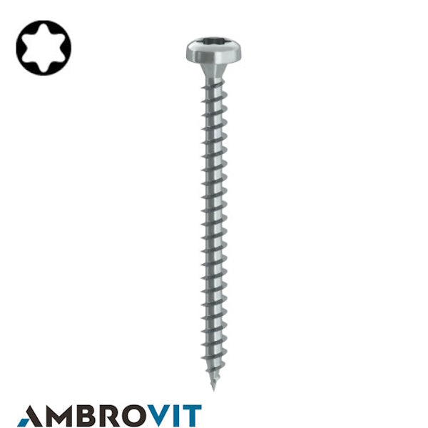 AMBROVIT VITE PER LEGNO TC TX ZINCATA BIANCA D.MM 6X70/60