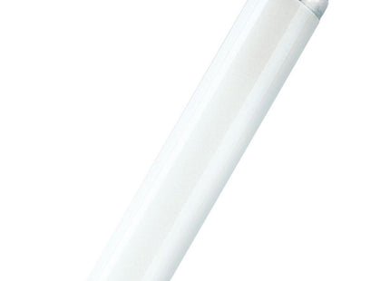 OSRAM TUBO NEON FLUORESCENTE LINEARE LUMILUX PLUS TL-D/T8 ATTACCO G13