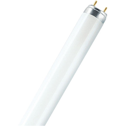 OSRAM TUBO NEON FLUORESCENTE LINEARE LUMILUX PLUS TL-D/T8 ATTACCO G13