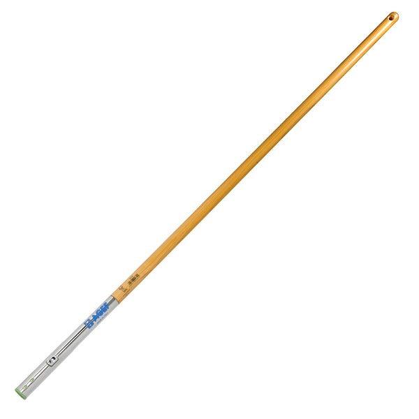 agef AP160.jpg