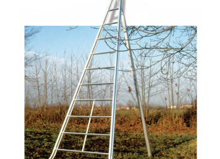 FACAL SCALA AGRI IN ALLUMINIO PER USO AGRICOLO