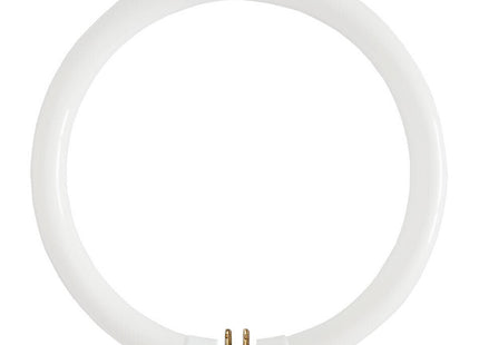 AIRAM LAMPADA NEON FLUORESCENTE CIRCOLARE G10Q 4200K MOD.T9