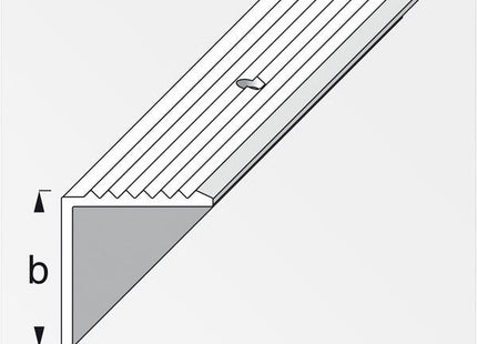 ALFER PROFILO PER SCALE ALLUMINIO ANODIZZATO ARGENTO MM19X20 MT1